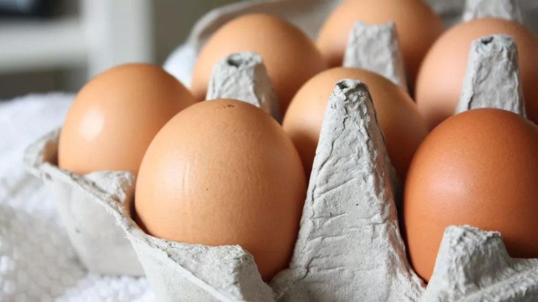 come riconoscere le uova più salutari